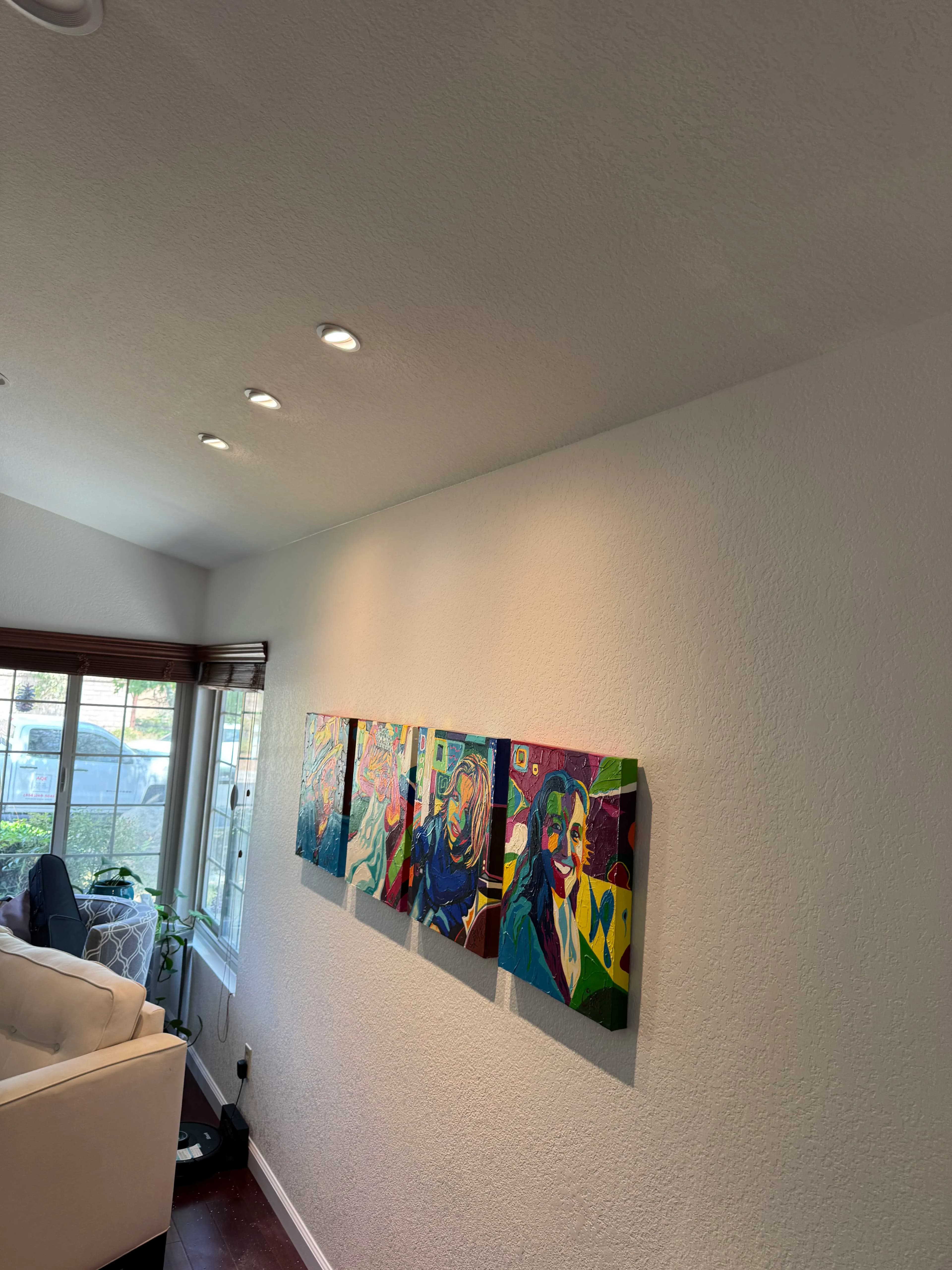 Project Recessed Lighting and Art Lights Installed in Sabre Springs image